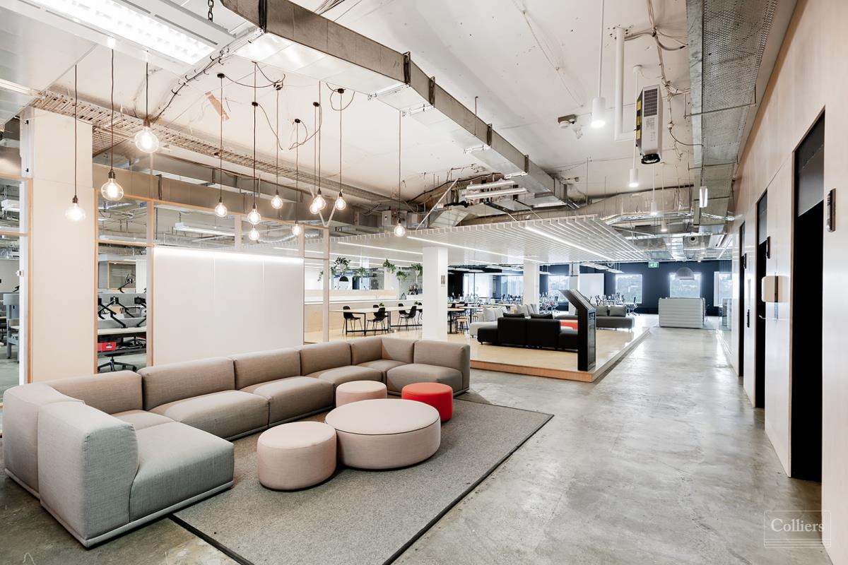 Office For lease — 55 Pyrmont Bridge Road PYRMONT NSW 2009 | Australia ...