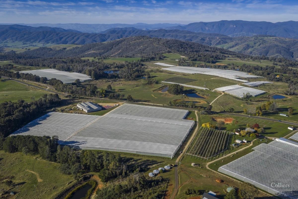 Agribusiness For sale — 98 Mill Road BATLOW NSW 2730 | Australia | Colliers