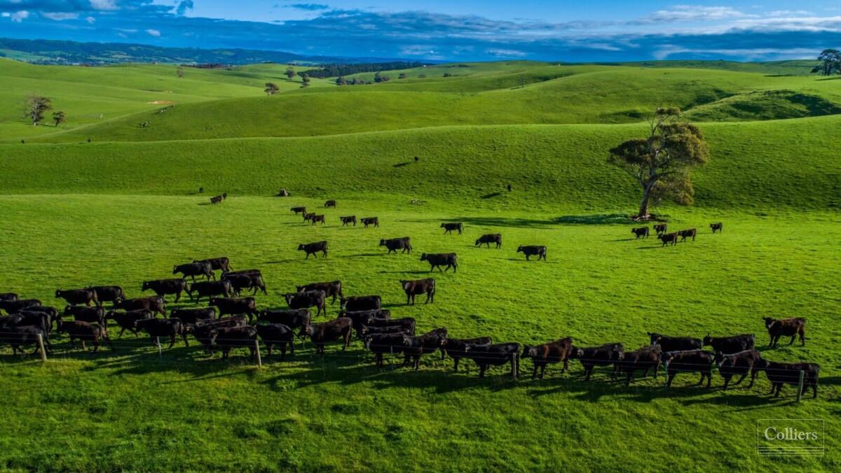 Prime Pastures on the Fleurieu Coast - #1