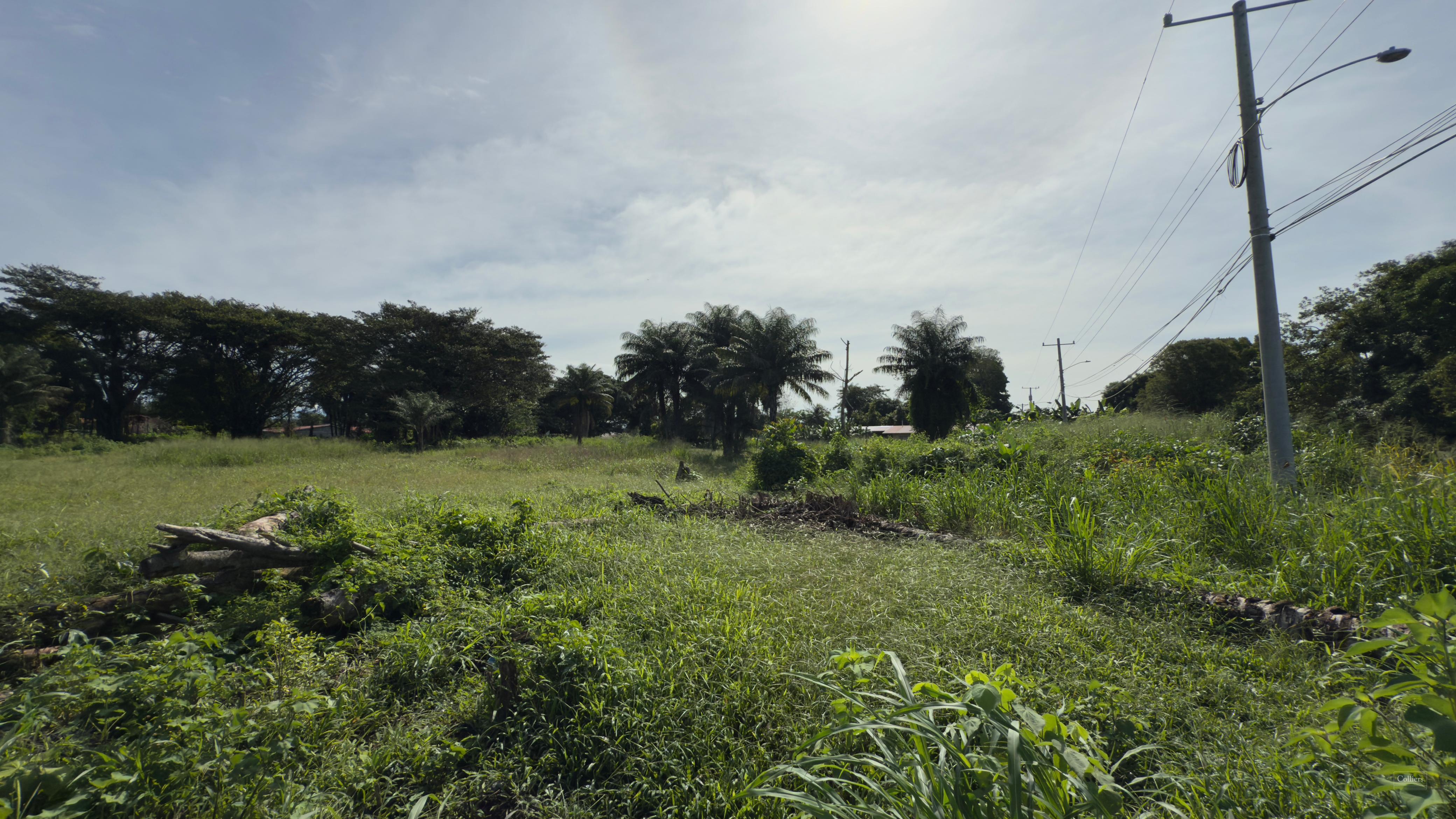 Commercial-Specialty For sale — Ruta 13 Concepción, Bugaba, Panamá ...