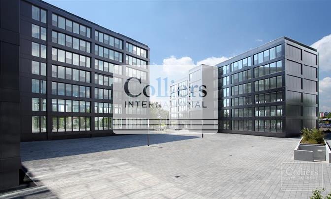 Colliers International Experts Nadja Lotz