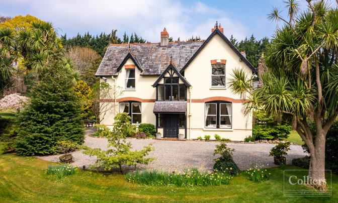 Colliers Experts Marcus Magnier