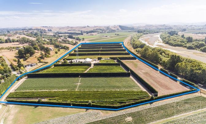 Prime horticulture development