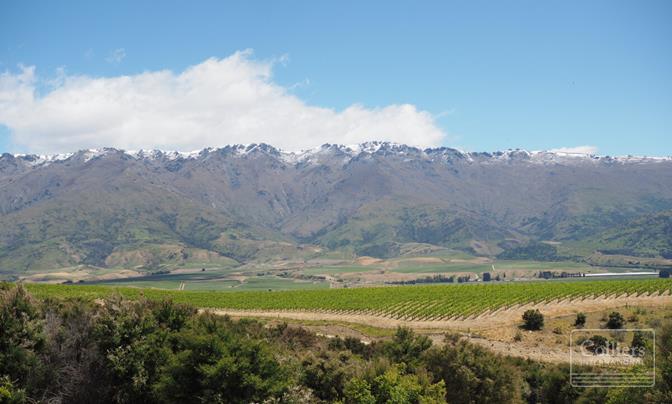 Premium vineyard lifestyle