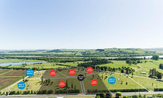 Premier Lifestyle Development