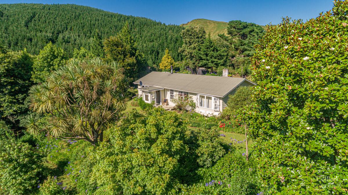 Wairarapa - For Sale 