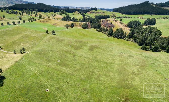 Highly Productive Farm with Great Location