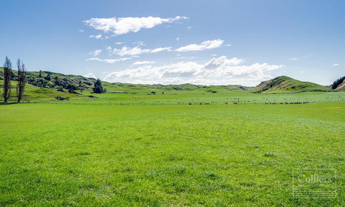 Cabbage Tree Flat Station
