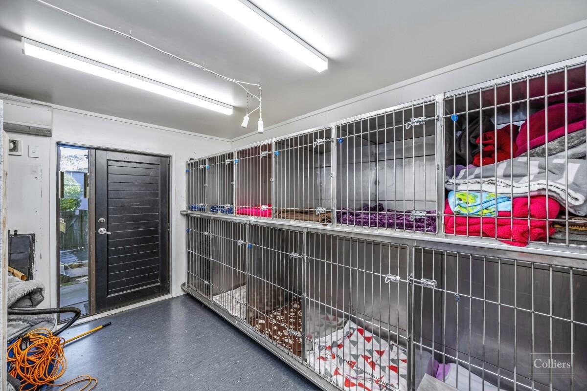 Hawkes Bay Vet Weekend Hours Buy 24 Hour Clinic For Dogs Store