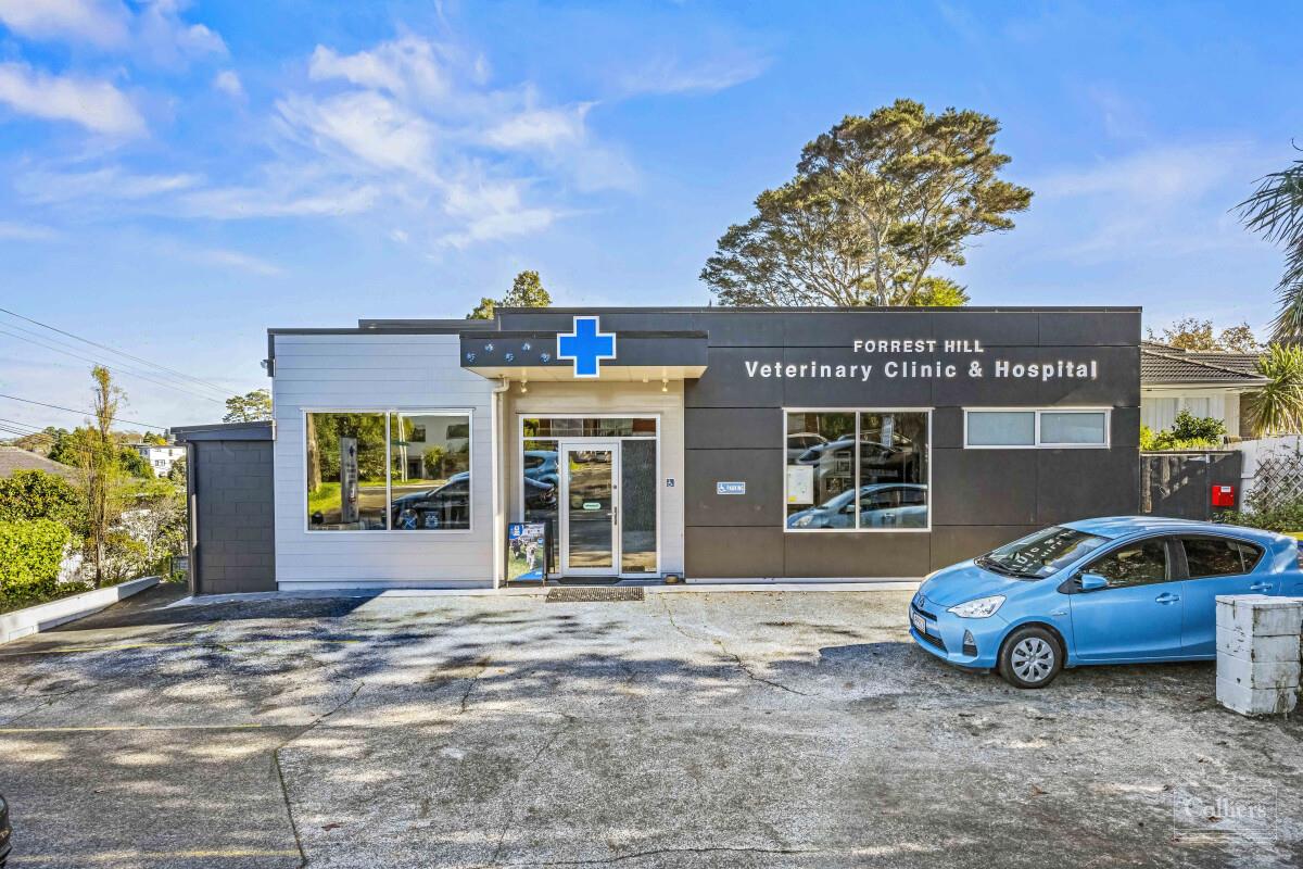 Investment Sold — 218 Forrest Hill Road, Forrest Hill, North Shore