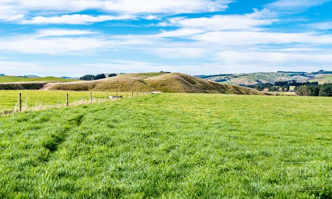 Central Hawke's Bay Grass Factory