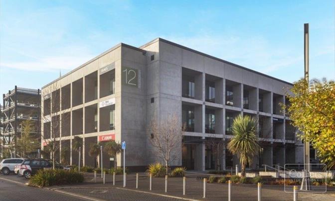 Stunning In The Park