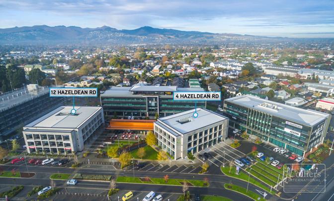 Stunning In The Park