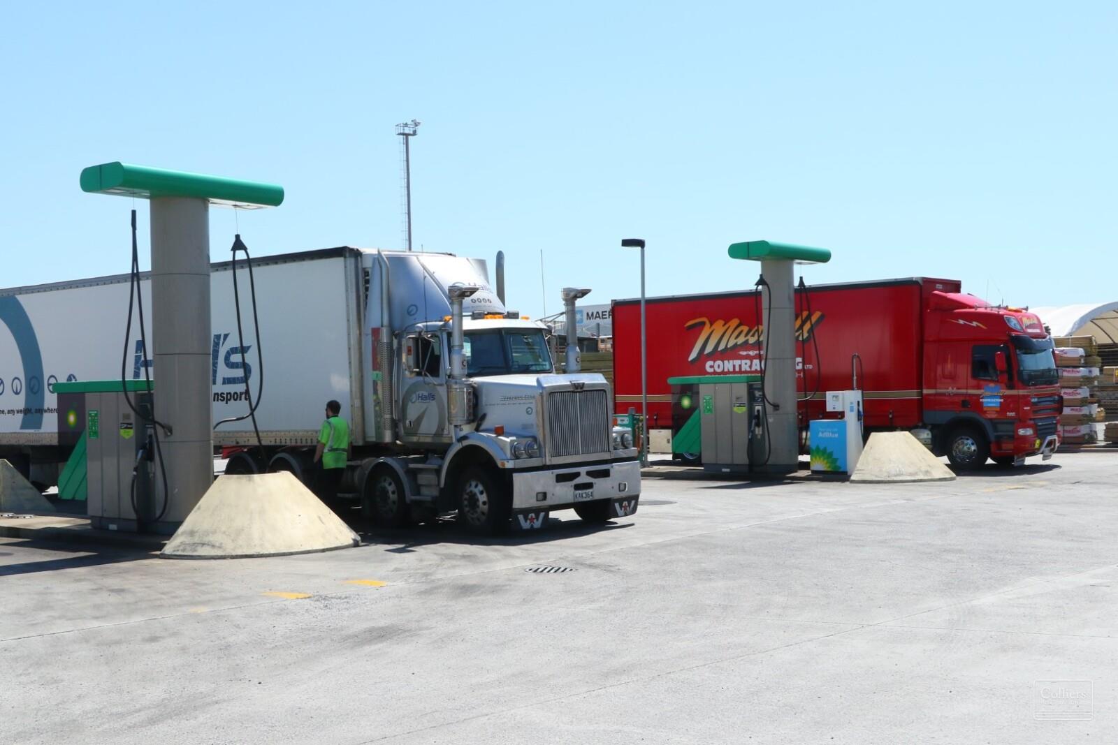 BLUE CHIP GROUND LEASE INVESTMENT