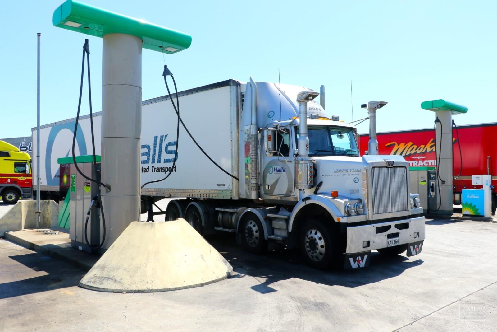 BLUE CHIP GROUND LEASE INVESTMENT