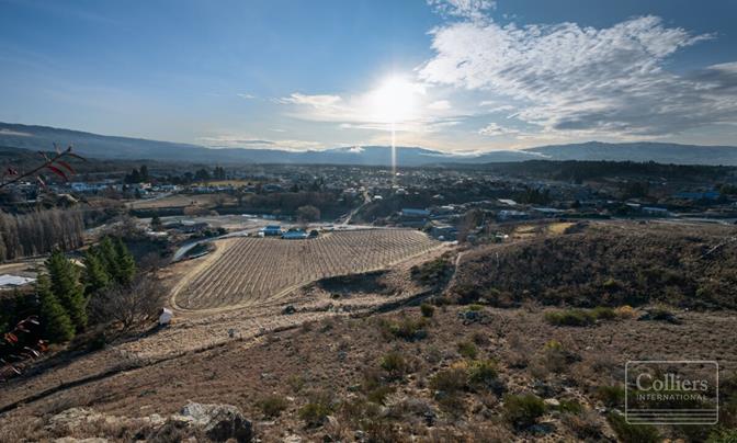 The Iconic Shaky Bridge Cafe and Vineyard
