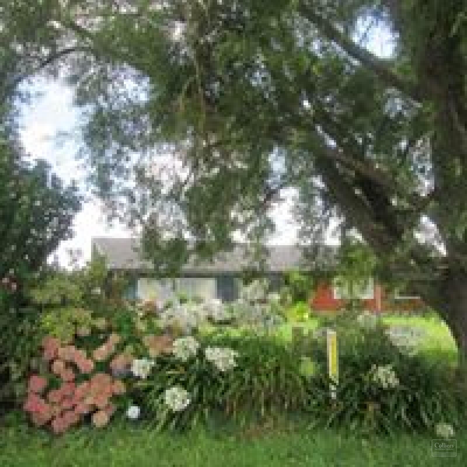 Development Opportunity north of Hamilton