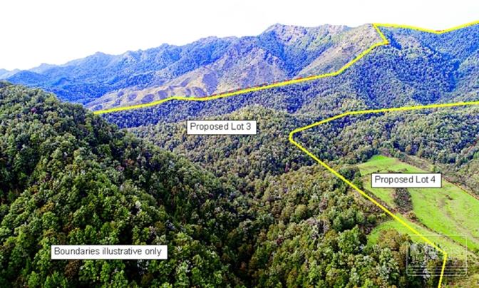 YOUR OWN NATIVE PARADISE