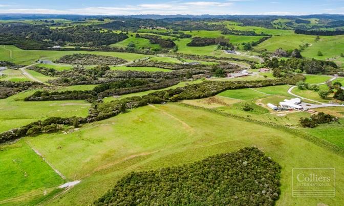 300+ha Consented Auckland Lifestyle Subdivision