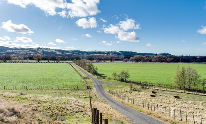 This is the one - 24ha (STT) bare land