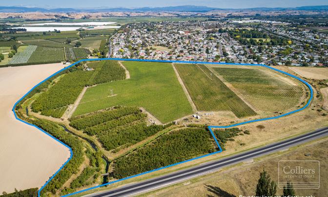 Land Bank / Investment Opportunity