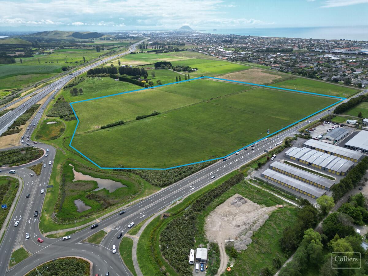 Fashion Island retail hub in Pāpāmoa up for sale; agents expect to be  'inundated' - NZ Herald