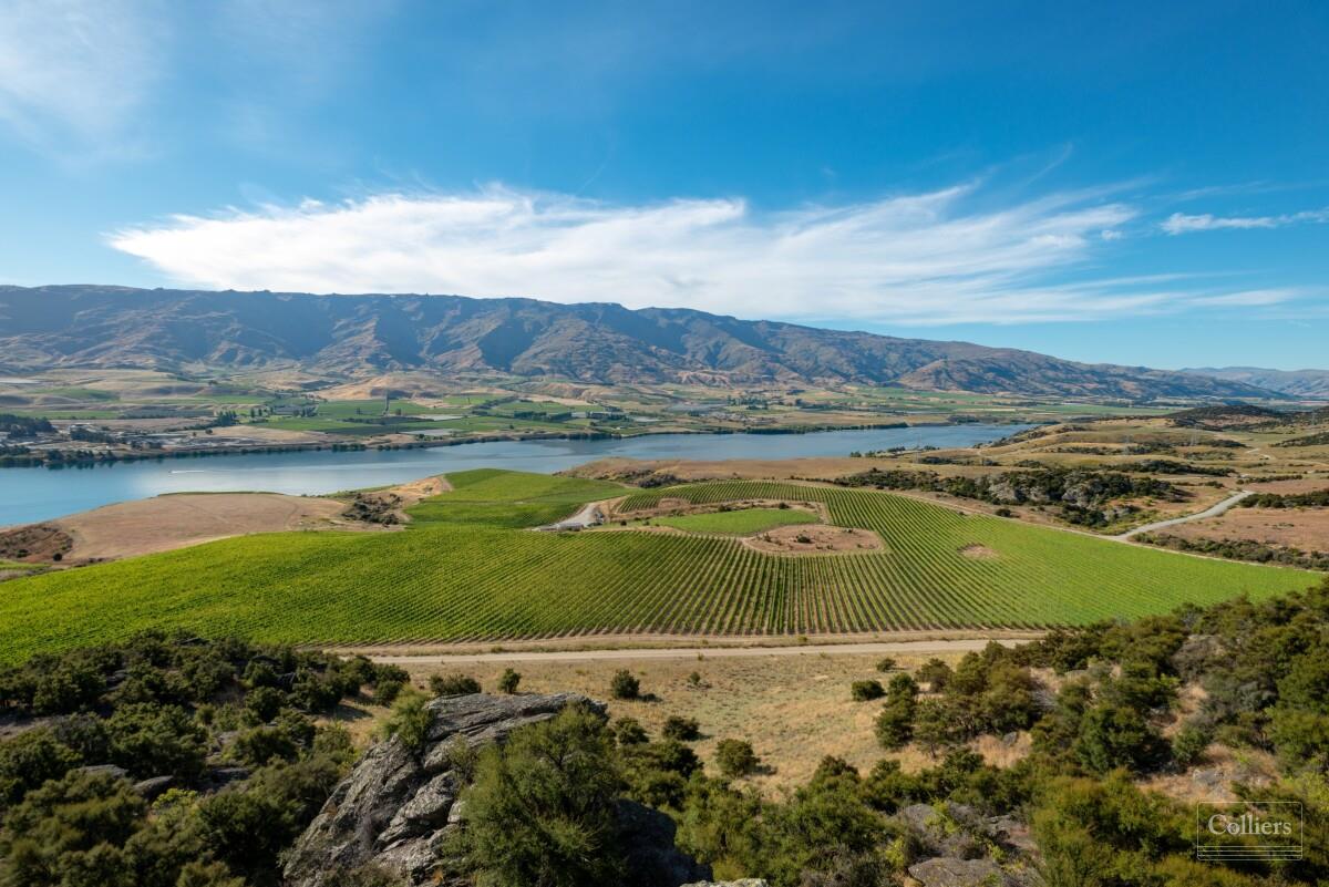 Central Otago cellar door, New Zealand Wine